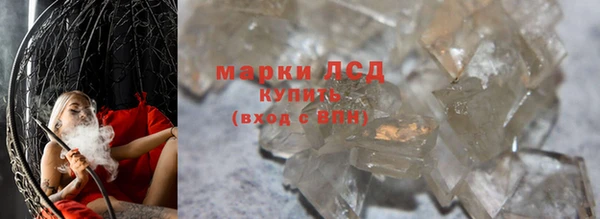 гидра Галич