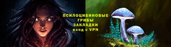 ПСИЛОЦИБИНОВЫЕ ГРИБЫ Абаза