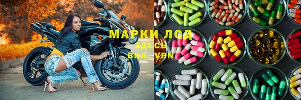 ПСИЛОЦИБИНОВЫЕ ГРИБЫ Абаза