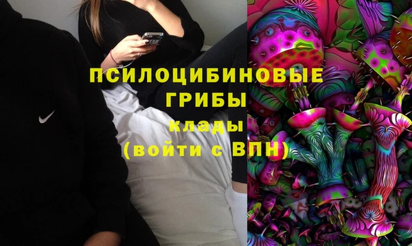 ПСИЛОЦИБИНОВЫЕ ГРИБЫ Абаза