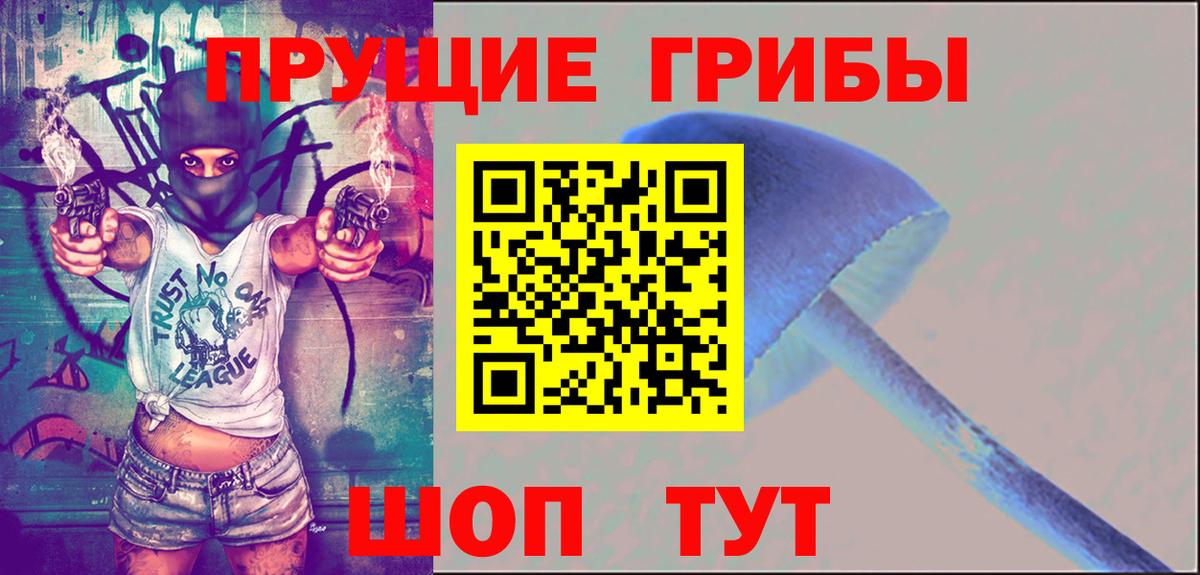 Псилоцибиновые грибы Psilocybine cubensis Истра